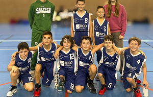 U11M/2