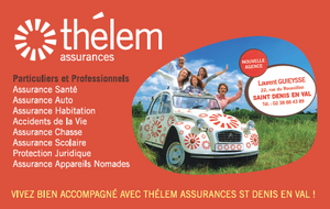 THELEM ASSURANCES ST DENIS EN VAL